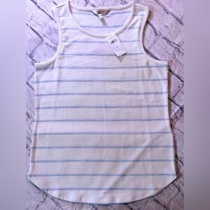 Banana Republic Cream and Blue Striped Tank Top